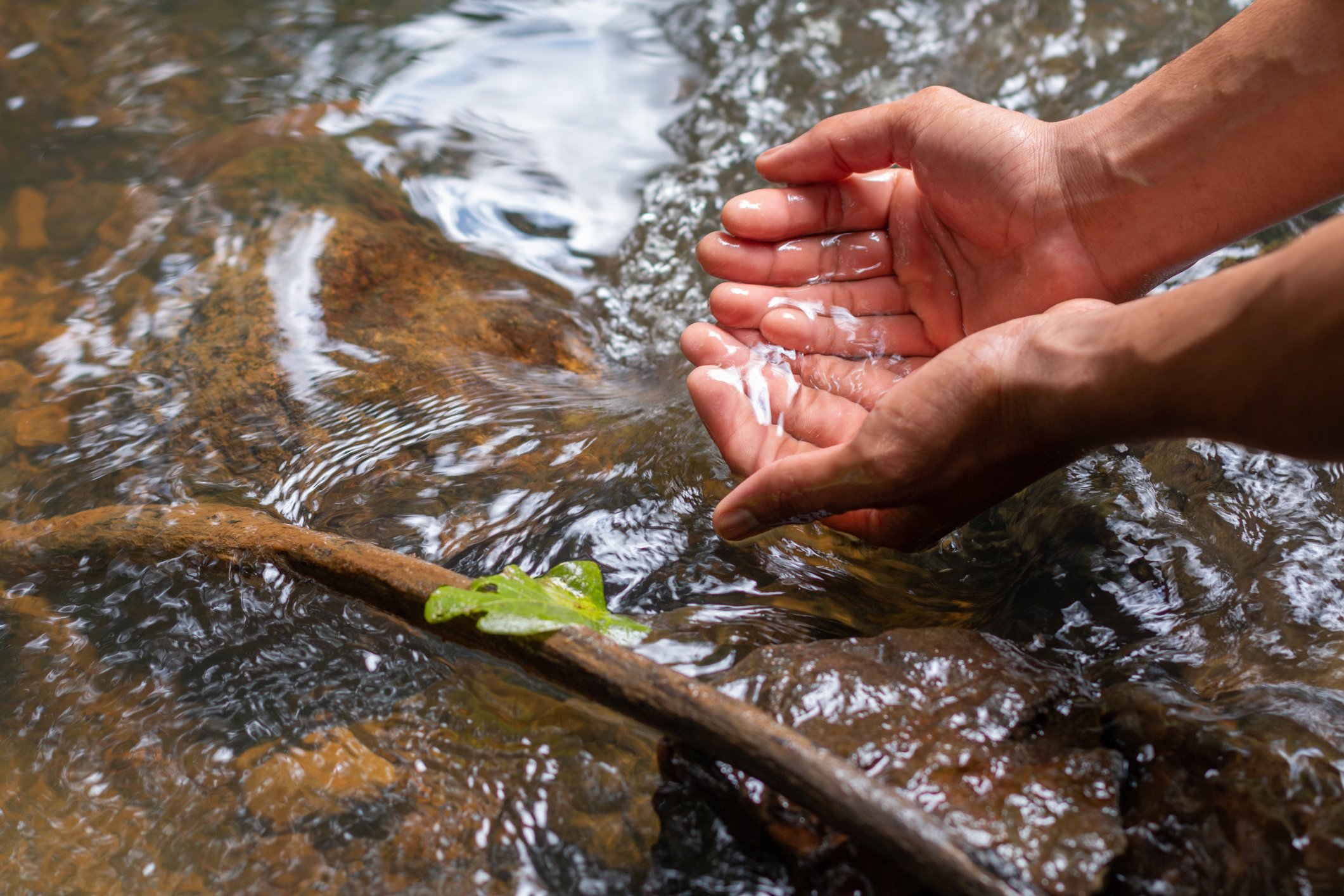 A person's hands cupping to scoop up clear water from a stream, illustrating a natural water source.