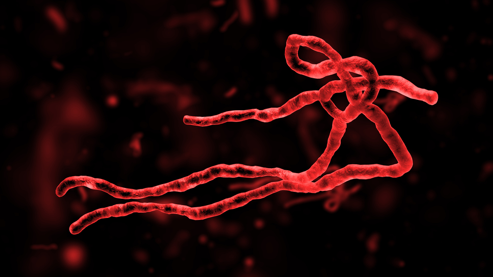 High,Quality,3d,Render,Ebola,Virus,With,Similar,Small,Cell