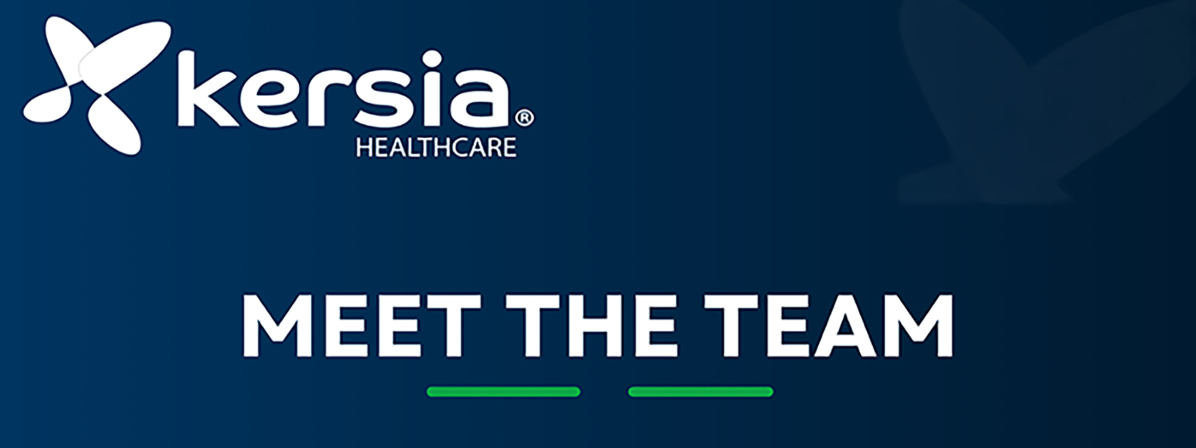 Meet the Team